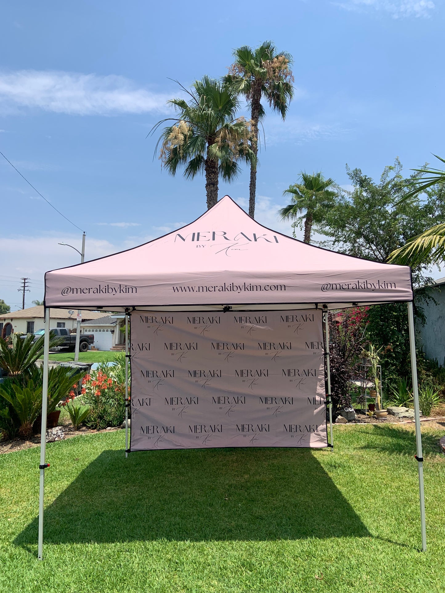 10X10 Canopy Tent + Back wall