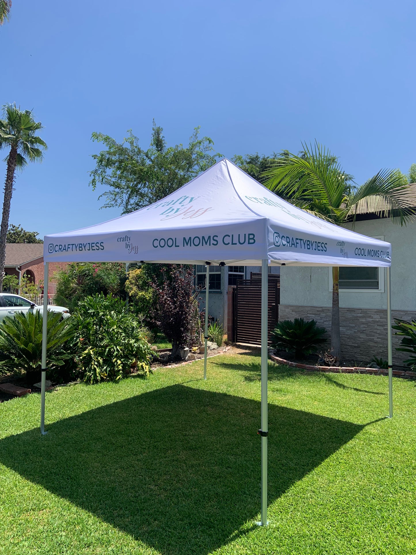 10X10 Canopy Tent