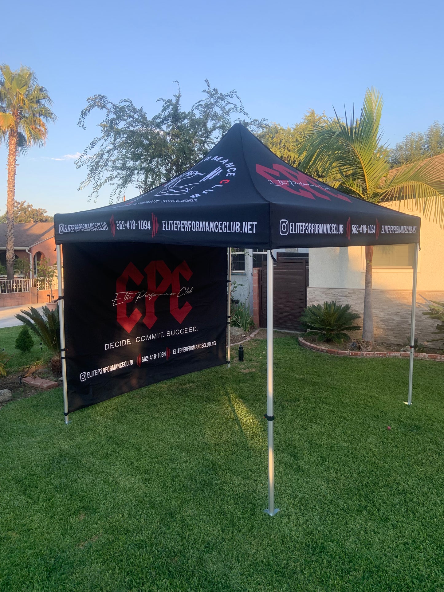 10X10 Canopy Tent + Back wall
