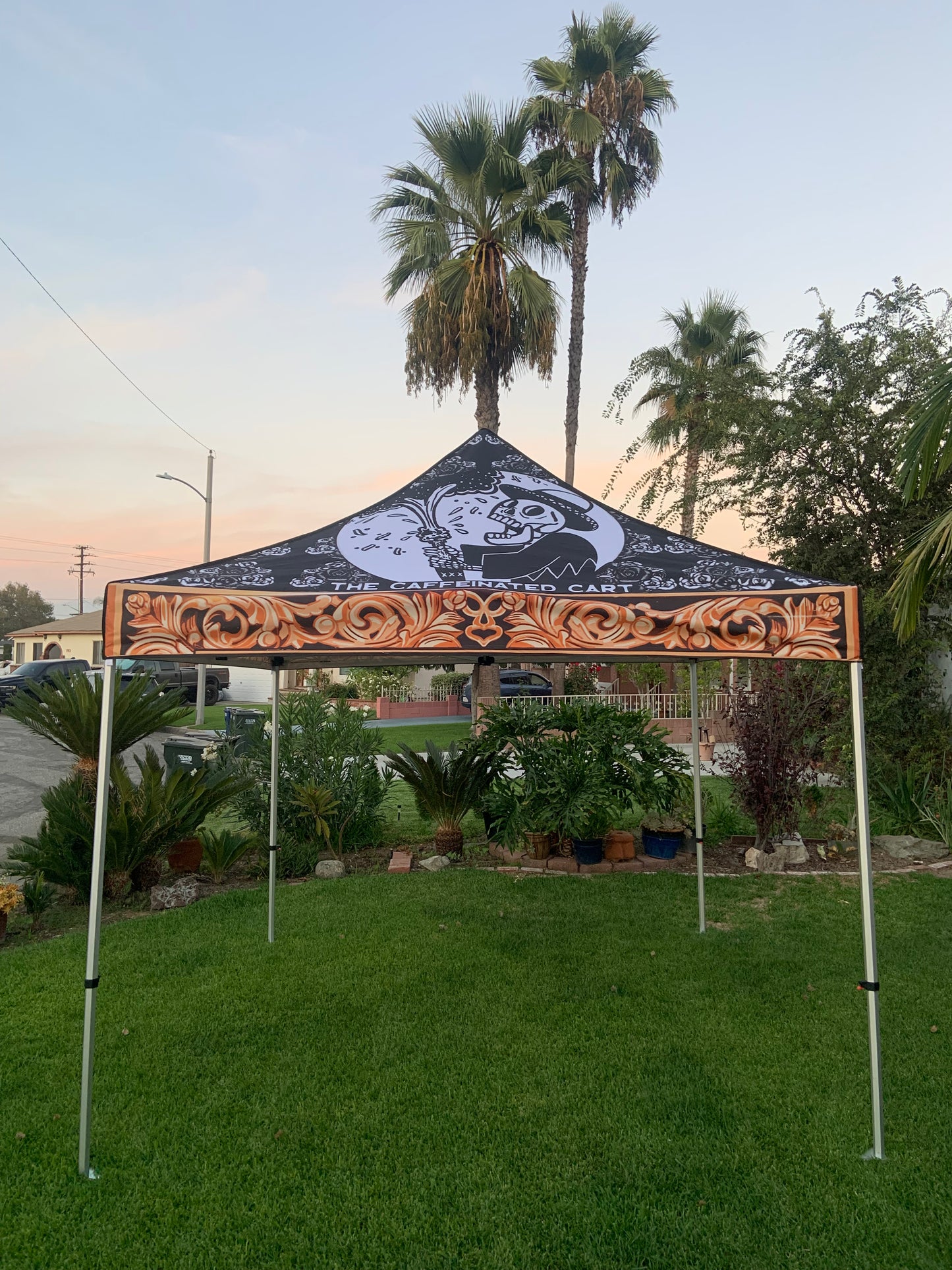 10X10 Canopy Tent