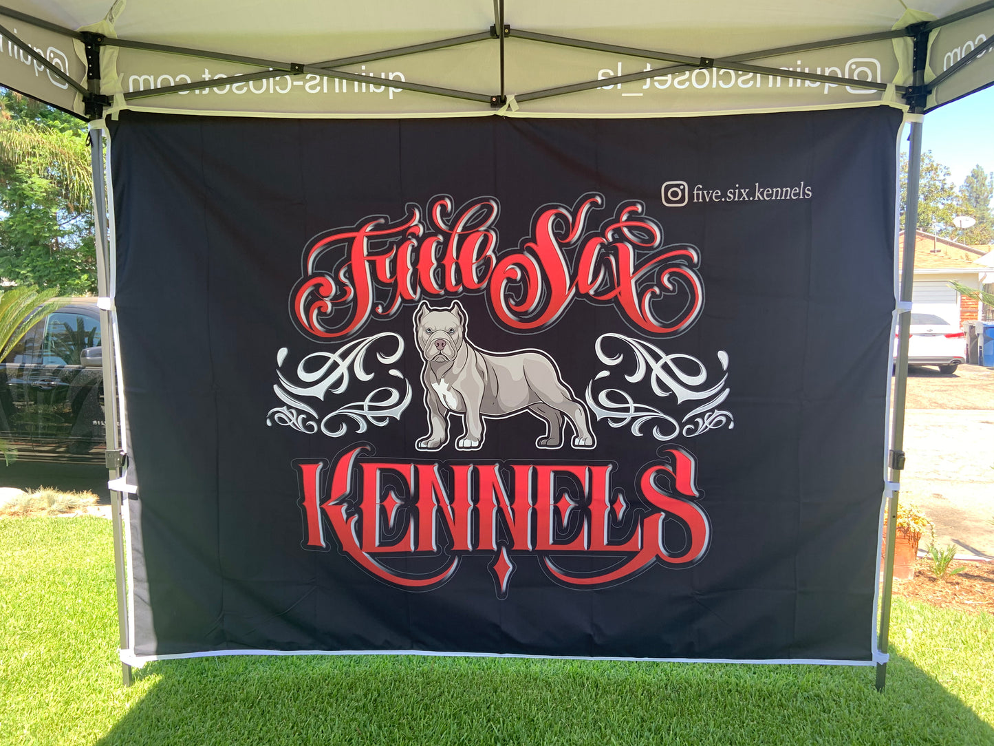 10 X10 Canopy Full Backwall (Only)