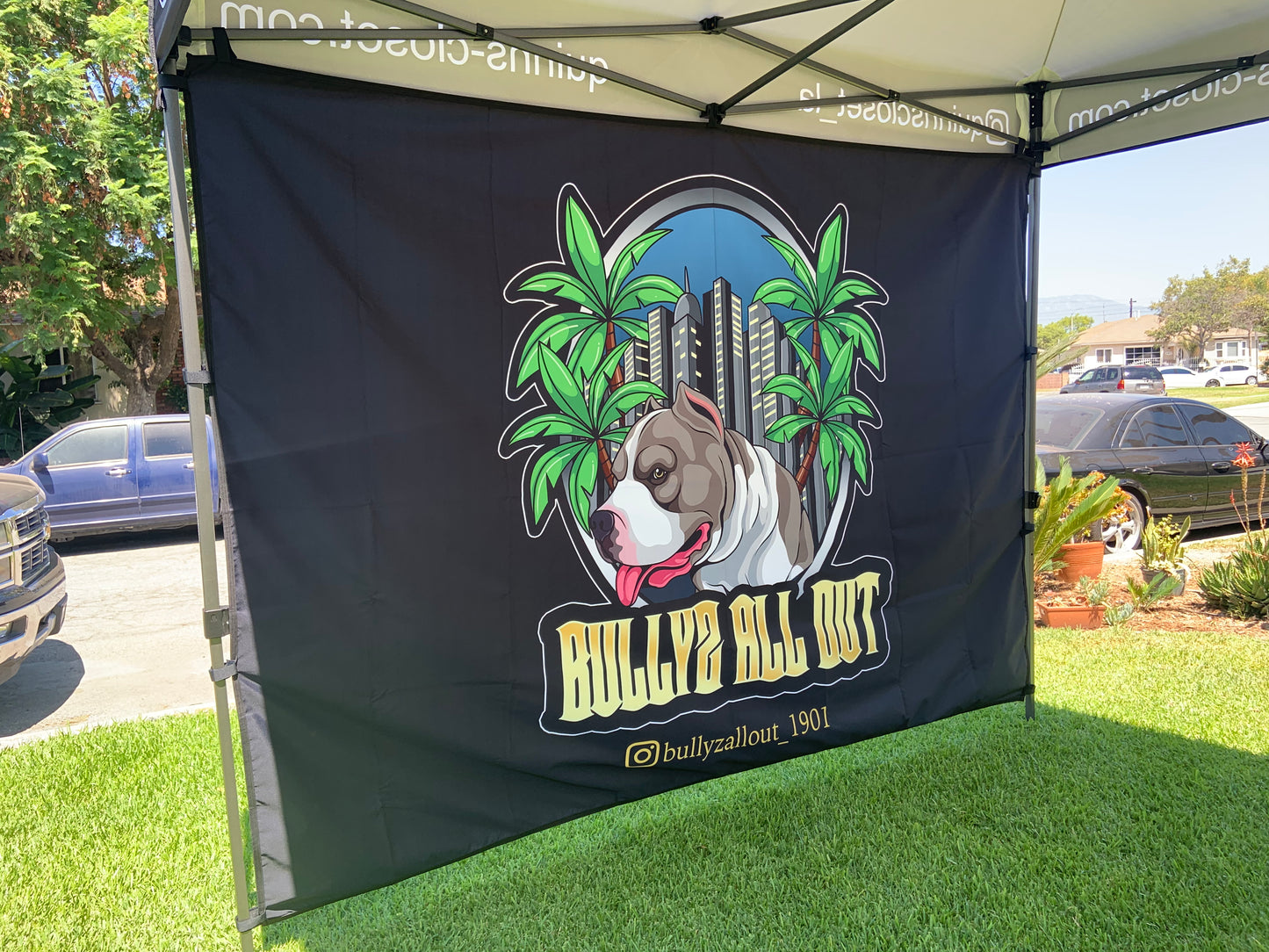 10 X10 Canopy Full Backwall (Only)