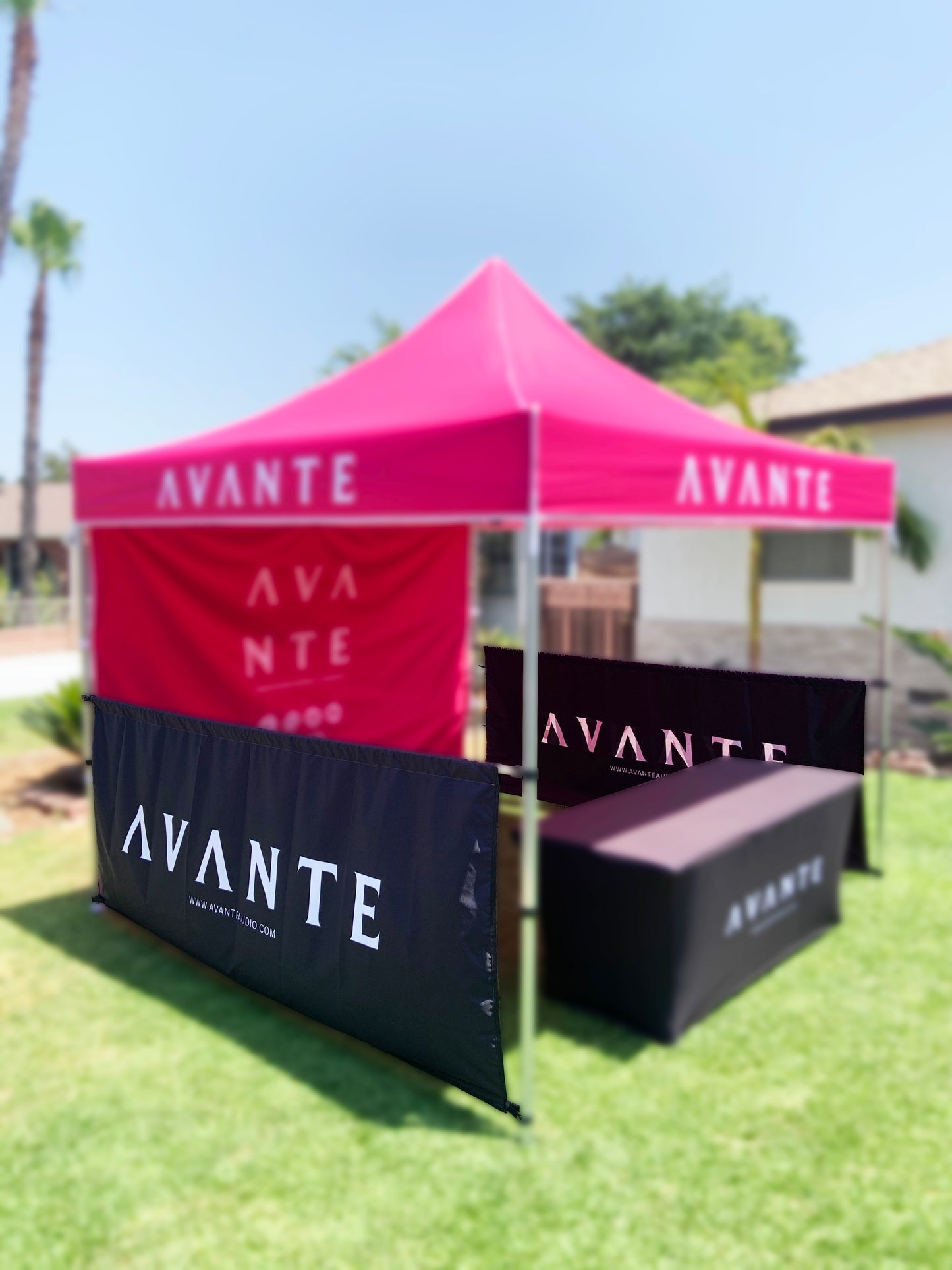 10X10 Canopy Half wall